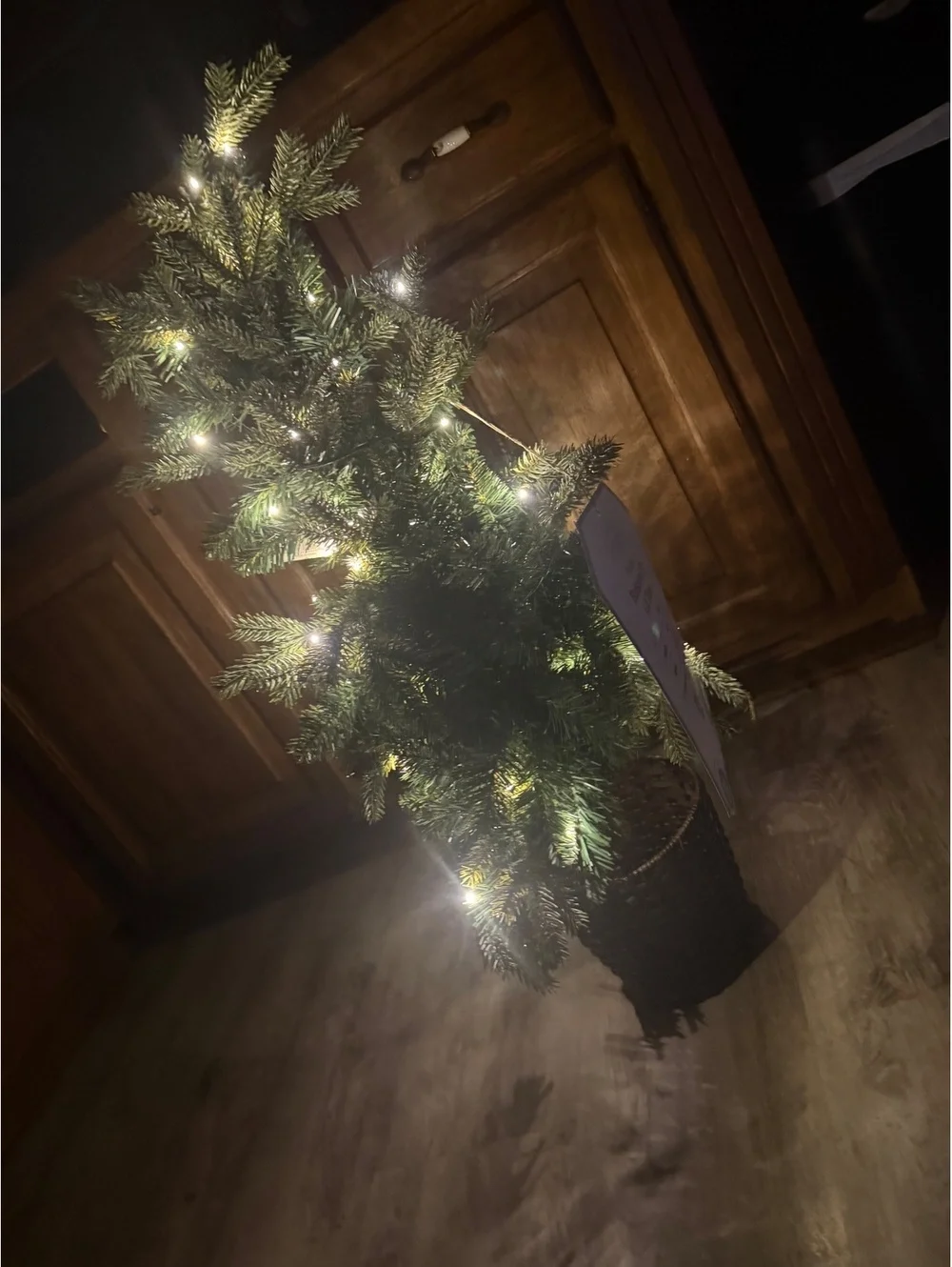 Potted balsam fir lit tree